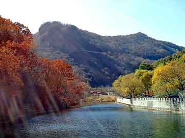 新澳天天开奖资料大全旅游团，防